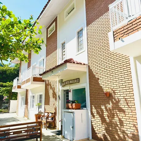 Flat Solar Aguia Dourada-2